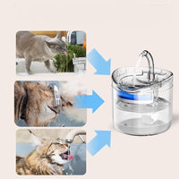 Fuente de agua automática para gatos y mascotas - detalle
