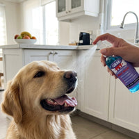 Aplicación del spray bucal en un perro golden retriever